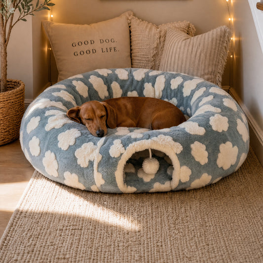 Blue tunnel donut dog bed with a dachshund